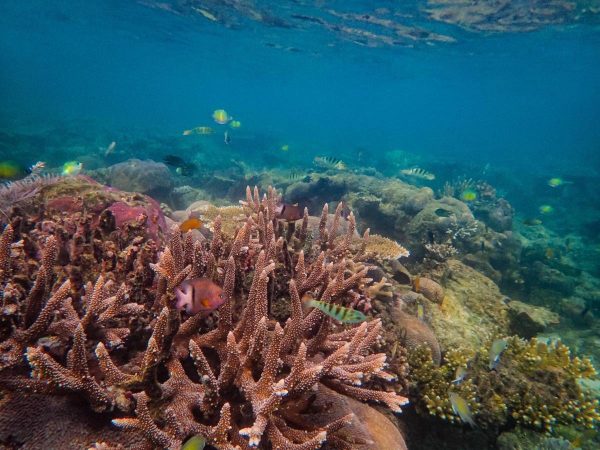 Raja Ampat Eco Lodge Tapokreng Zewnętrze zdjęcie